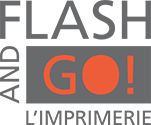 logo Flash and Go